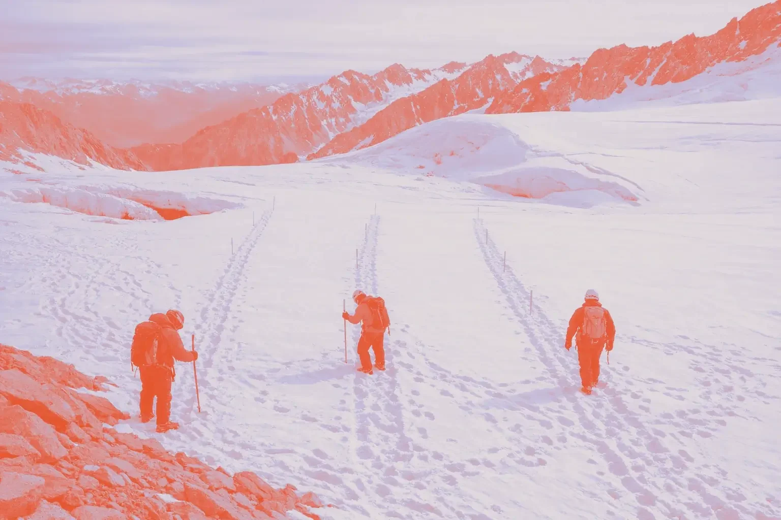 Three climbers walking on a snowy landscape with mountains in the background.