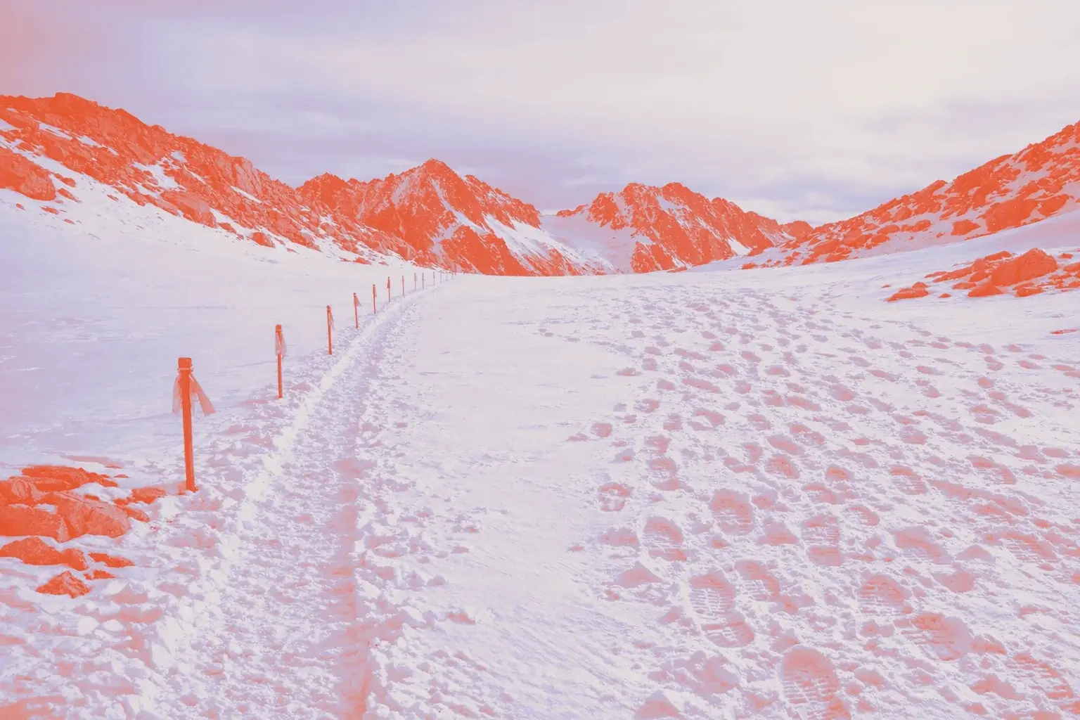 A snowy landscape with a clear path marked by poles and footprints.